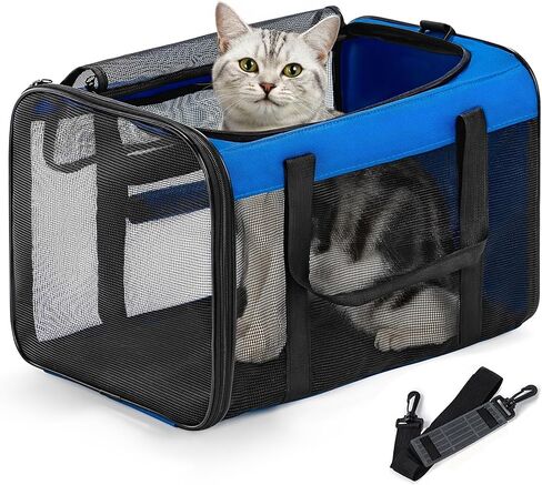 Cat Carrier Bag,Soft-Sided Pet Carriers for Dogs with 4-Sided Mesh,Airline Approved Cat Transport Carrier for Small&Medium Cats Kitten Puppy Up to 15Lb,Collapsible Cat Travel Carrier-M,Black in Saudi Arabia