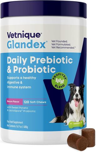 Vetnique Glandex Probiotics for Dogs 60ct Soft Chews, Prebiotics & Enzymes in Saudi Arabia