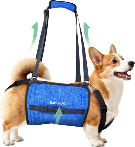 Adjustable Dog Lift Harness, Dog Carry Sling Provides Rear Leg Support for Arthritis and After ACL Surgery Dogs,Suitable for Medium to Large Dogs,XL in Saudi Arabia