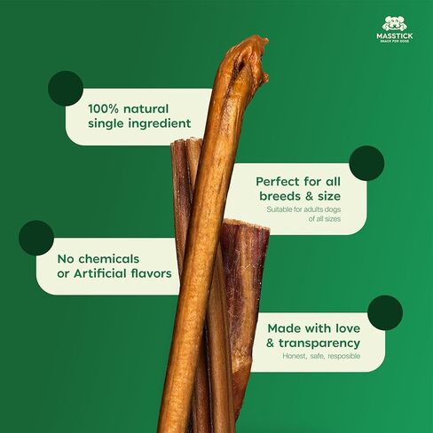 MASSTICK Jumbo Bully Sticks للكلاب 6 بوصة - سميكة جدًا، طويلة الأمد، خالية من الرائحة - أعواد مضغ البقر للكلاب - جميعها طبيعية وقابلة للهضم بالكامل للكلاب الصغيرة والكبيرة - حقيبة 8 أونصة in Kuwait