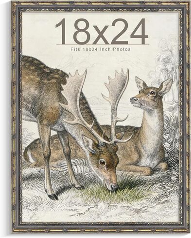إطار ملصق عتيق أبيض Picrit مقاس 24 × 36، وحدود واسعة جدًا على طراز المتحف وملمس منقط ثلاثي الأبعاد، وإطار صور معرض مقاس 24 × 36 مع لوحة خلفية سوداء للتركيب على الحائط أفقيًا أو رأسيًا، حزمة واحدة. in Kuwait