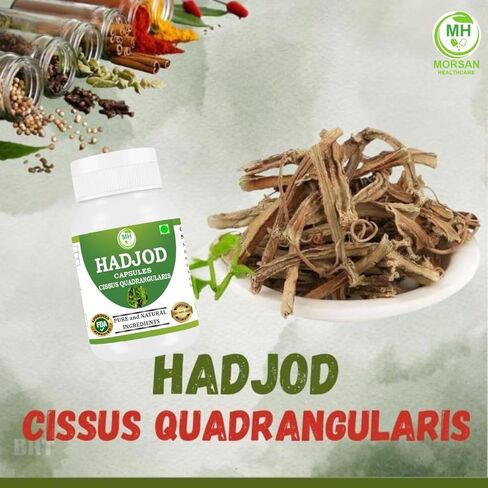Hadjod (Cissus Quadrangularis) Capsules, Pack of 60 x 500 mg Veg Capsules | High Potency | 100% Natural Ayurvedic Supplement for Bone and Joint Support in Saudi Arabia