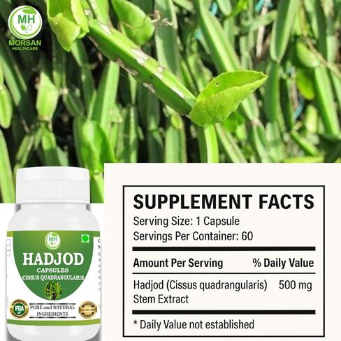 Hadjod (Cissus Quadrangularis) Capsules, Pack of 60 x 500 mg Veg Capsules | High Potency | 100% Natural Ayurvedic Supplement for Bone and Joint Support in Saudi Arabia