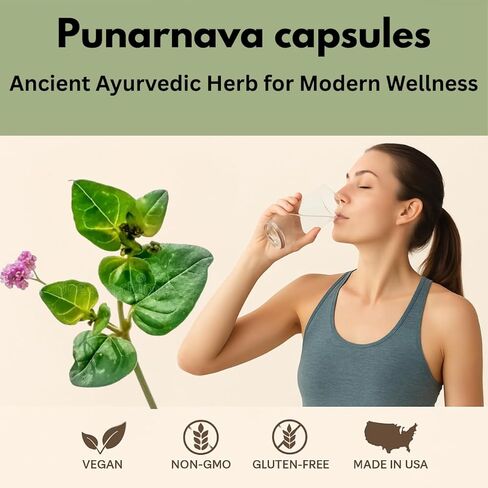 Punarnava Capsules (Boerhaavia Diffusa) 500mg – 60 Veg Capsules | Herbal Wellness Supplement for Natural Kidney & Liver Support | Plant-Based Detox & Cleansing Formula | Pack of 2 in Saudi Arabia