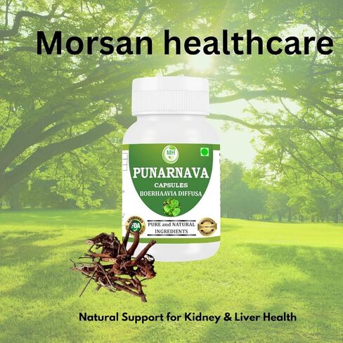 Punarnava Capsules (Boerhaavia Diffusa) 500mg – 60 Veg Capsules | Herbal Wellness Supplement for Natural Kidney & Liver Support | Plant-Based Detox & Cleansing Formula | Pack of 2 in Saudi Arabia