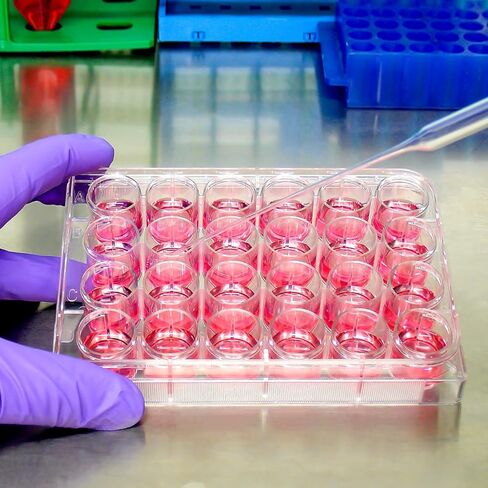 ibasenice 24-Well Cell Culture Plate with Lids Medical Grade Plastic 4.92X3.34X0.78 Inch Laboratory Tissue Culture Plate for Cell Growth Testing and Sample Analysis in Saudi Arabia