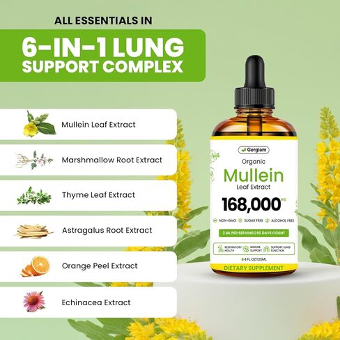 Mullein Drops for Lungs, USDA Organic Lung Detox and Cleanse Liquid with Marshmallow, Thyme, Astragalus, Orange Peel, Echinacea Alcohol & Sugar Free Extract for Smokers 2 Fl Oz in Saudi Arabia