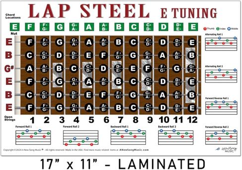 A New Song Music Laminated Lap Steel E Tuning Guitar Fretboard Note & Rolls Chart - Beginners & Intermediate Instructional Easy Poster Chords 11"x17" in Kuwait