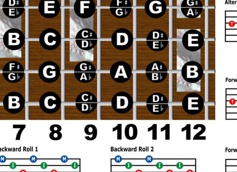 A New Song Music Laminated Lap Steel E Tuning Guitar Fretboard Note & Rolls Chart - Beginners & Intermediate Instructional Easy Poster Chords 11"x17" in Kuwait