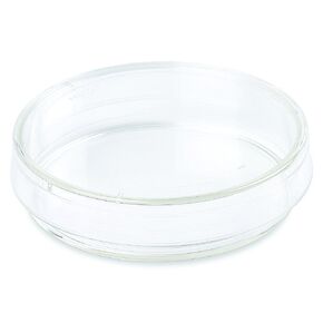 Corning Falcon® #353001، طبق ثقافة الخلية سهل الإمساك بمعالج TC مقاس 35 مم، (عبوة من 20 قطعة) in Kuwait