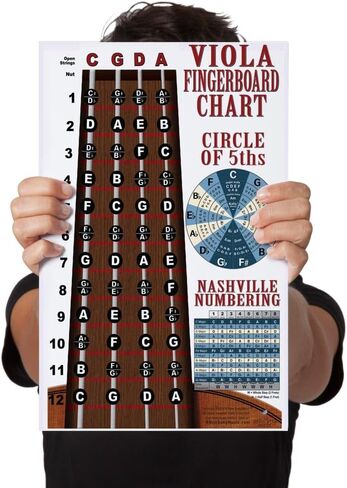 Laminated Viola Fingerboard Note Instructional Chart - Poster includes Circle of 5ths & Nashville Numbering System 11x17 | A New Song Music in Saudi Arabia