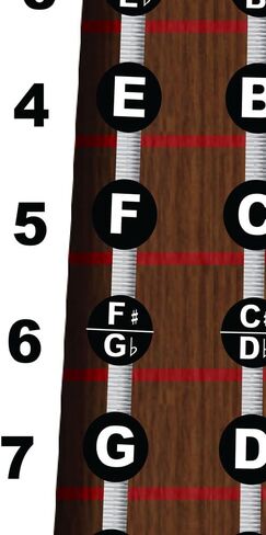 Laminated Viola Fingerboard Note Instructional Chart - Poster includes Circle of 5ths & Nashville Numbering System 11x17 | A New Song Music in Saudi Arabia