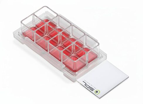 SPL Cell Culture Chamber Slide, Clear, 8 Wells, PS Frame, F lux Slide, PP Holder, 0.2~0.6 ml, TC Treated Sterile, Case of 12 // 2 Pack of 6 in Saudi Arabia