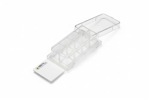 SPL Cell Culture Chamber Slide, Clear, 8 Wells, PS Frame, F lux Slide, PP Holder, 0.2~0.6 ml, TC Treated Sterile, Case of 12 // 2 Pack of 6 in Saudi Arabia