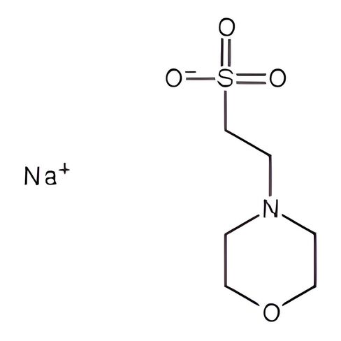 0215245480 MES Sodium Salt, 100g in Saudi Arabia
