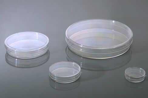 Nest Scientific 704004 100mm Cell Culture Dish, TC, sterile 5/Bag, 300/cs in Saudi Arabia