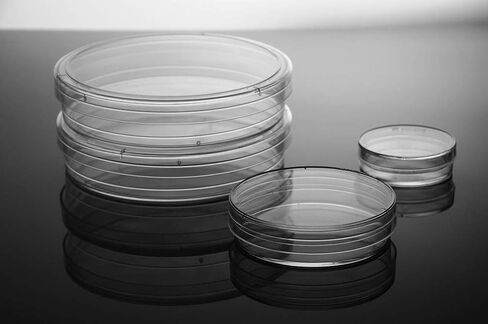طبق زراعة خلايا البوليسترين 705001 من Nest Scientific، معالج لزراعة الأنسجة، معقم، 60 مم، 20 لكل كيس، 500 لكل علبة (عبوة من 500) in Saudi Arabia