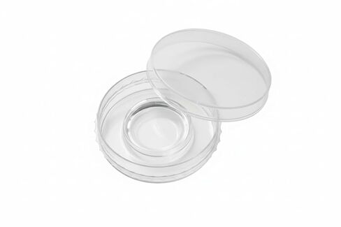 SPL IVF Culture Dish,60x20mm, PS,TC Treated, sterile to SAL 10-6, Case of 500 in Saudi Arabia