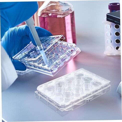 10 قطع من STOBAZA صينية تفاعل لوحة ثقافة الخلايا عالية الشفافية للتجارب المعملية، تصميم مسطح من الأسفل مع غطاء لثقافة الأنسجة والتوافق الواسع in Kuwait