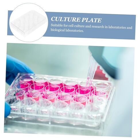 10 قطع من STOBAZA صينية تفاعل لوحة ثقافة الخلايا عالية الشفافية للتجارب المعملية، تصميم مسطح من الأسفل مع غطاء لثقافة الأنسجة والتوافق الواسع in Kuwait