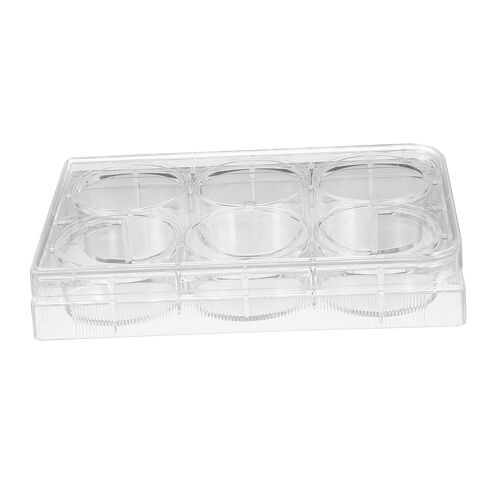 Tissue Culture Plate Lab Equipment Cell Culture Tray with Lid for Reliable Performance and Optimal Cell Growth in Saudi Arabia
