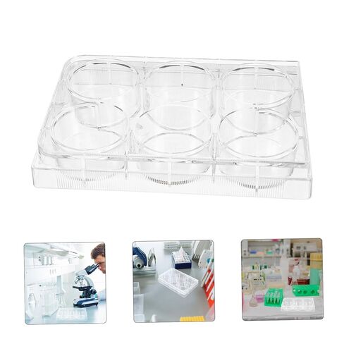 Tissue Culture Plate Lab Equipment Cell Culture Tray with Lid for Reliable Performance and Optimal Cell Growth in Saudi Arabia