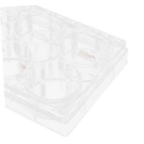 Tissue Culture Plate Lab Equipment Cell Culture Tray with Lid for Reliable Performance and Optimal Cell Growth in Saudi Arabia