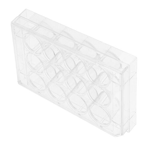 Cell Culture Plate Transparent Petri Dish for Laboratory Use Multi Functional Tissue Culture Tool for Cell Growth and Observation for Science Projects in Saudi Arabia