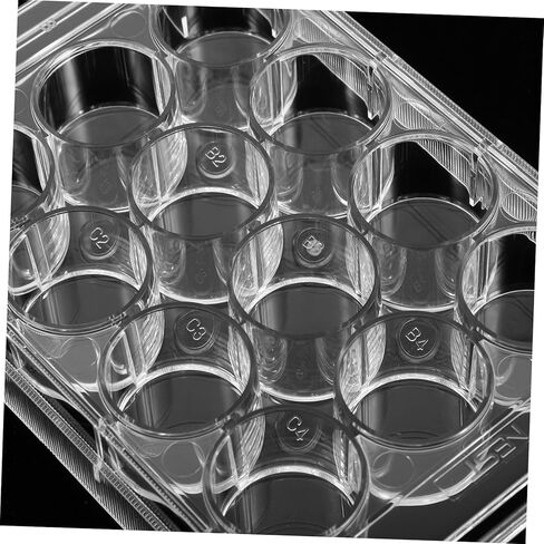 Cell Culture Plate Transparent Petri Dish for Laboratory Use Multi Functional Tissue Culture Tool for Cell Growth and Observation for Science Projects in Saudi Arabia