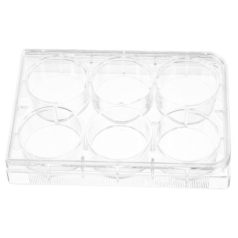 Zerodeko Tissue Culture Plate for Lab Cell Culture Tray with Lid for Optimal Cell Proliferation Efficient Laboratory Equipment in Saudi Arabia