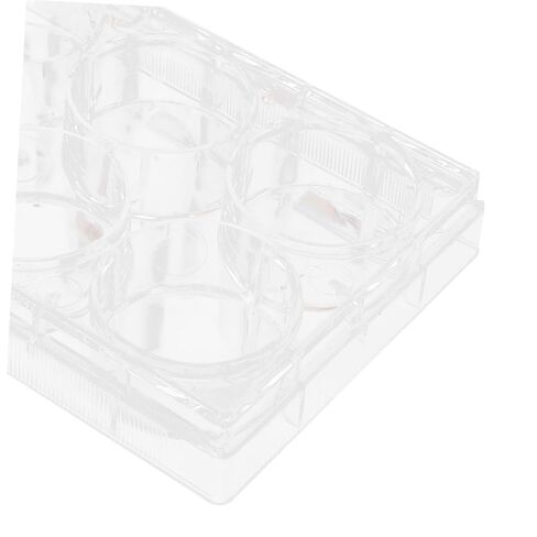 Zerodeko Tissue Culture Plate for Lab Cell Culture Tray with Lid for Optimal Cell Proliferation Efficient Laboratory Equipment in Saudi Arabia