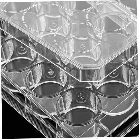 طبق زراعة الأنسجة Luxshiny طبق زراعة الخلايا المعملية لمراقبة نمو الخلايا، صينية زراعة الأنسجة سهلة الاستخدام لتطبيقات البحث in Kuwait