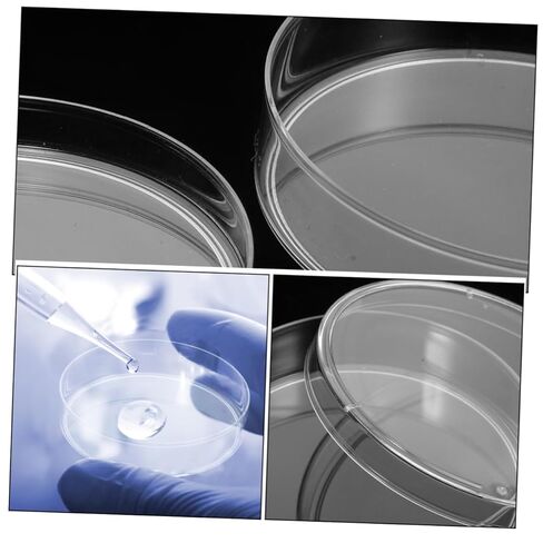 Cabilock 5Pcs Transparent Petri Dishes Round Cell Culture Plates for School Projects Medical Testing and Research Material High in Saudi Arabia