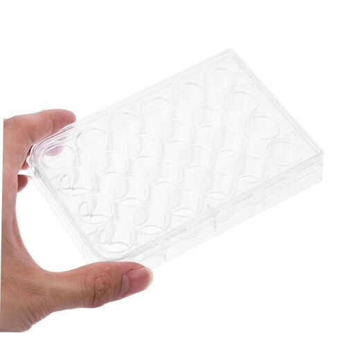 PRETYZOOM 2 قطعة من ألواح زراعة الخلايا غطاء 24 فتحة صواني زراعة الأنسجة المختبرية للتحليل والتجارب المعملية in Kuwait