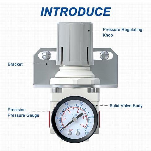 AIRZOE 1/4" NPT Air Dryer for Compressor and Air Pressure Regulator Combination-5 Micron Brass Element,0-150 PSI Brass Gauge,AF2000-02,AR2000-02 in Saudi Arabia