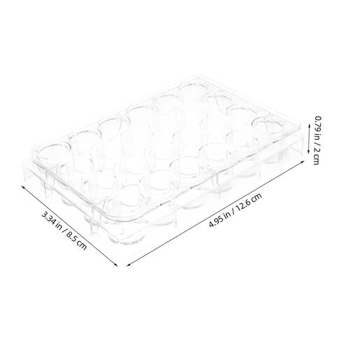 Zerodeko 2pcs Cell Culture Dishes Plastic Petri Holders for Lab Experiments Chemistry Petri Plates Easy Monitoring in Saudi Arabia