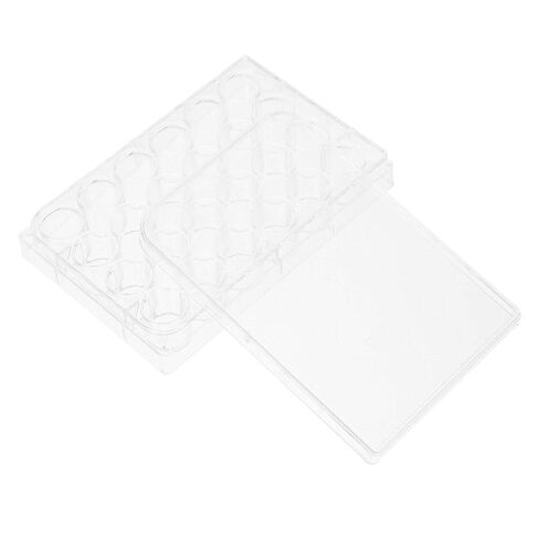 Gatuida Cell Culture Plate 24-Well Tissue Culture Tray Lid for Laboratory Experiments Sturdy and Reliable Non-Removable Enzyme Marking in Saudi Arabia