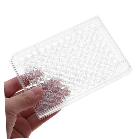 PRETYZOOM 2 pcs Disposable Cell Culture Plates for Laboratory Plate with Lids for Cell Growth in Saudi Arabia