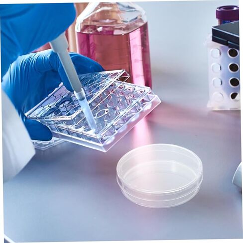 Sosoport 10Pcs Clear Agar Culture Dishes with Lid Cell Plates for Lab Experiments Research and School Teaching Smooth Surface for Easy Sample Observation in Saudi Arabia