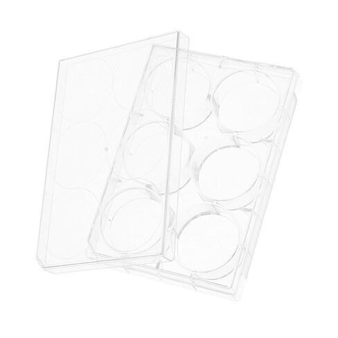 GANAZONO Cell Culture Plate Lid 6-Well Laboratory Tissue Culture Tray for Growth Sturdy Plastic Petri Dish for Scientific Experiments in Saudi Arabia