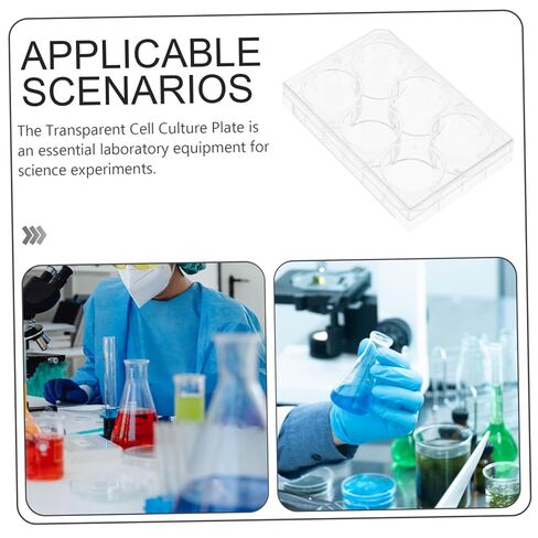 GANAZONO Cell Culture Plate Lid 6-Well Laboratory Tissue Culture Tray for Growth Sturdy Plastic Petri Dish for Scientific Experiments in Saudi Arabia