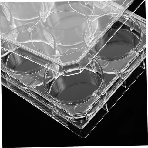 GANAZONO Cell Culture Plate Lid 6-Well Laboratory Tissue Culture Tray for Growth Sturdy Plastic Petri Dish for Scientific Experiments in Saudi Arabia