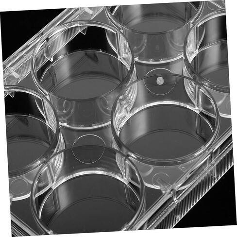 GANAZONO Cell Culture Plate Lid 6-Well Laboratory Tissue Culture Tray for Growth Sturdy Plastic Petri Dish for Scientific Experiments in Saudi Arabia