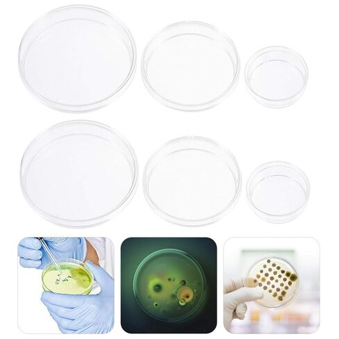Cabilock 30pcs Plastic Petri Dishes for Science Projects Each of Cell Culture Plates for Laboratory Use in Saudi Arabia