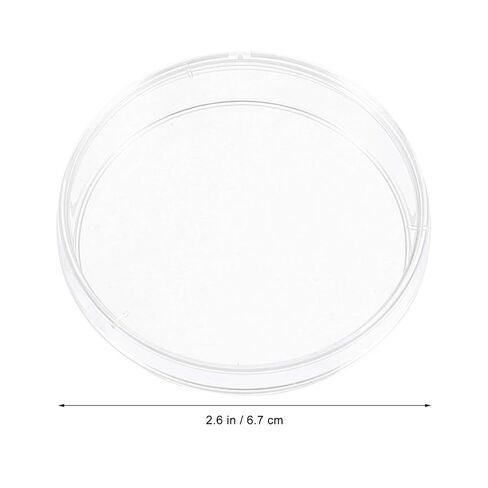 Cabilock 30pcs Plastic Petri Dishes for Science Projects Each of Cell Culture Plates for Laboratory Use in Saudi Arabia