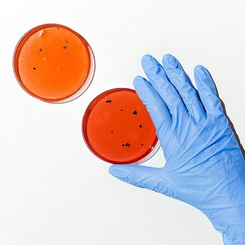 Cabilock 30pcs Plastic Petri Dishes for Science Projects Each of Cell Culture Plates for Laboratory Use in Saudi Arabia