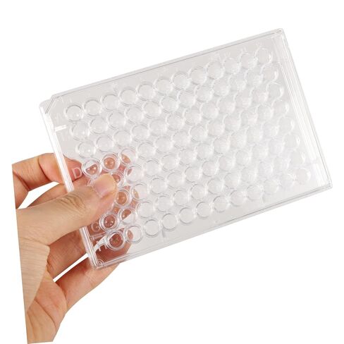 تصميم آبار لوحة زراعة الخلايا من GANAZONO ذات 96 فتحة لاستخدام مختبرات زراعة الأنسجة ومراقبة نمو الخلايا بسهولة in Kuwait