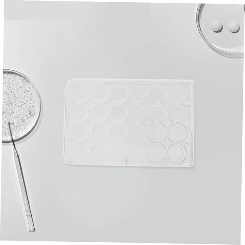 2pcs Cell Culture Plates Plastic Petri Dishes Lidded for Biomedical Research High Transparency for Accurate Experiments in Saudi Arabia