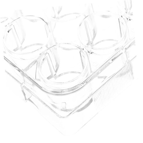 قطعتان من أطباق زراعة الخلايا وأغطية مجموعة زراعة الأنسجة للأبحاث الطبية الحيوية in Kuwait