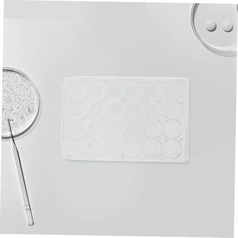 Mobestech قطعتان من ألواح زراعة الخلايا عالية الشفافية من أجل نمو موحد للخلايا، أطباق بيتري مختبرية مصممة بدقة للبيانات التجريبية وعمليات البحث الفعالة in Kuwait